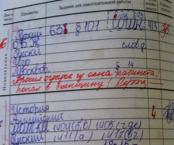 Странные замечания на страницах школьных дневников (21 фото)