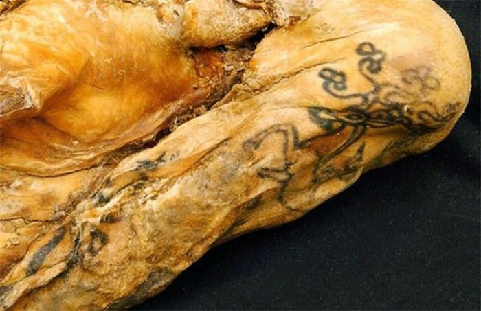 Самые необычные и странные мумии из далекого прошлого (12 фото)