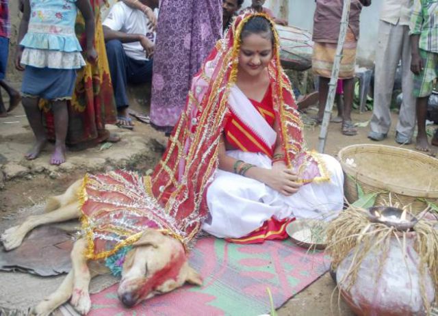 Шокирующая свадьба по-индийски (13 фото)
