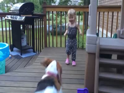 Забавная малышка играет с собакой (4.5 мб)