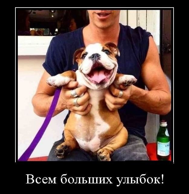 Демотиваторы (30 фото)