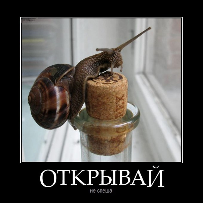 Демотиваторы (30 фото)