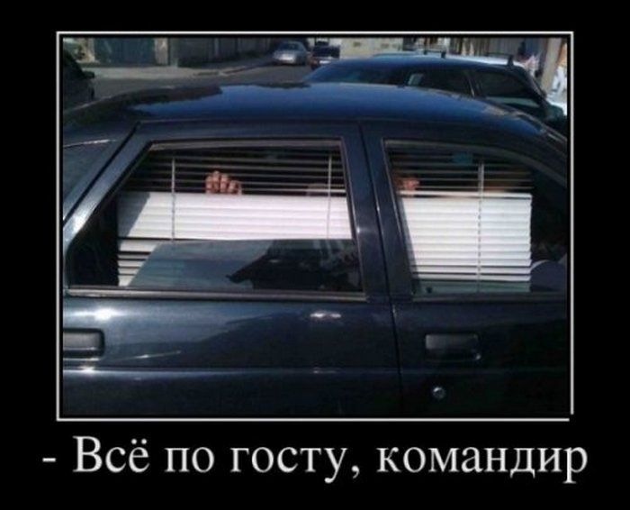 Демотиваторы (30 фото)