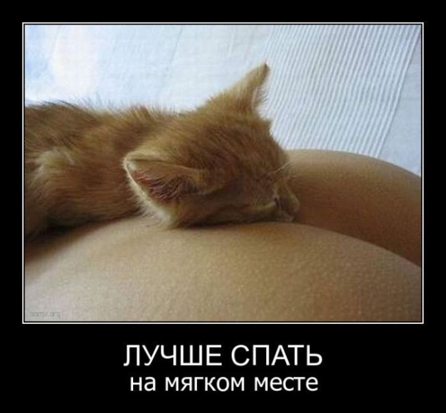 Демотиваторы (30 фото)