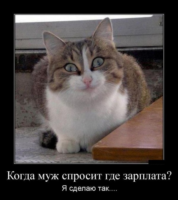 Демотиваторы (30 фото)