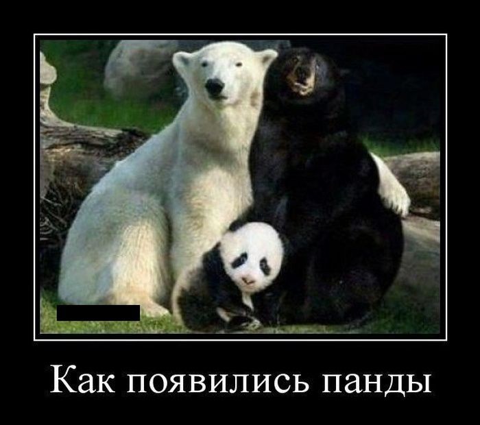 Демотиваторы (30 фото)