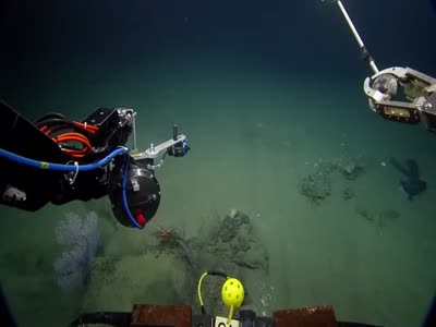 Изучая морские глубины при помощи специального батискафа (8.7 мб)