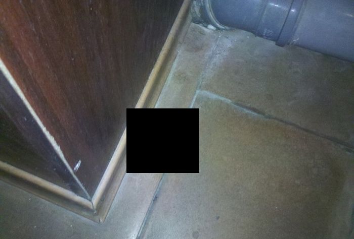 Пугающая находка в туалете (2 фото)