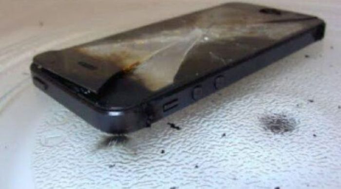 Не пытайтесь зарядить iPhone 6 в микроволновке (5 фото)