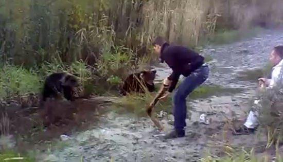 Пьяный подонок убил медвежонка в Ханты-Мансийске
