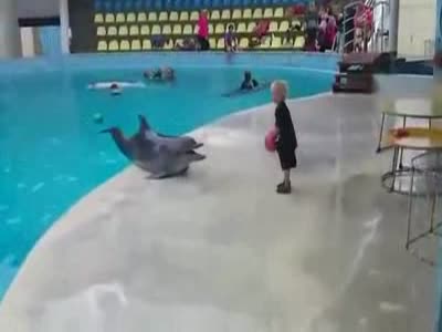Ребенок играет с дельфином (16.2 мб)
