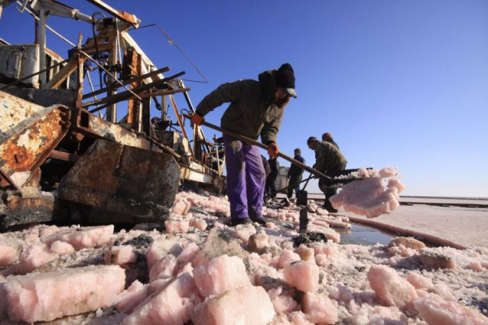 Как добывают соль в Крыму (13 фото)