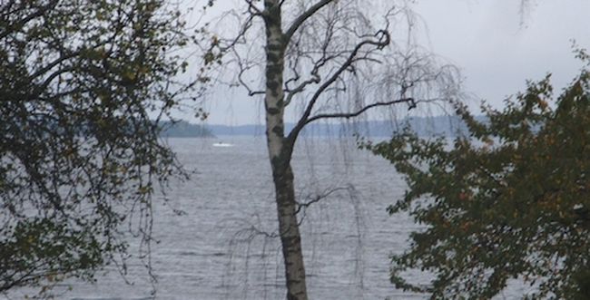 В водах Стокгольмского архипелага шведы ищут российкую подлодку (9 фото)