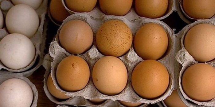 Белые и коричневые яйца - какие выбрать? (4 фото)