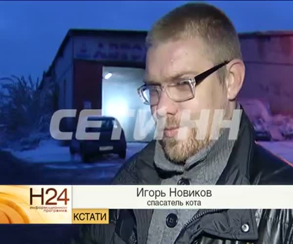 Игорь Новиков - спаситель кота Барсика