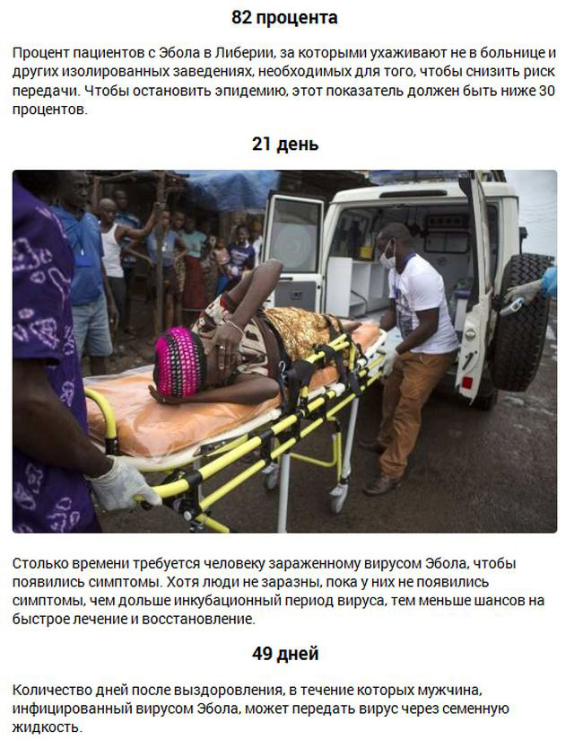 Ужасающие цифры возможного развития Эболы (8 фото)