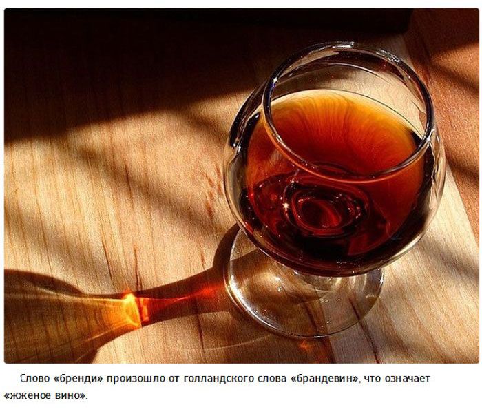Алкоголь и 25 интересных фактов о нем (25 фото)