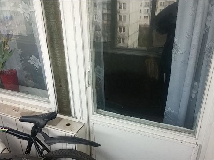 Кот закрыл своего хозяина на балконе (10 фото)
