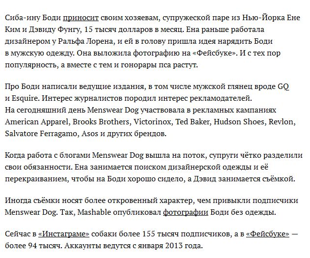 Домашние животные, и их интернет-заработок (19 фото + видео)