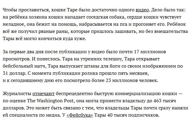 Домашние животные, и их интернет-заработок (19 фото + видео)