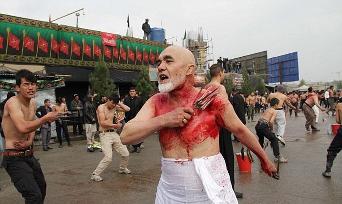 Кровавый праздник мусульман-шиитов (15 фото)
