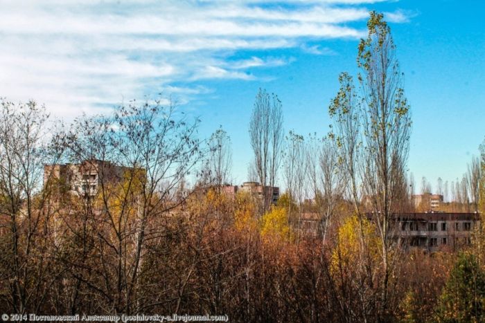 Осенняя пора в Припяти (25 фото)