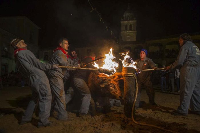Варварский фестиваль Toro de Jubilo в Испании (22 фото)