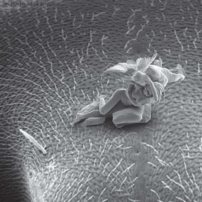 Микроскульптуры, которые не видны невооруженным глазом (9 фото)