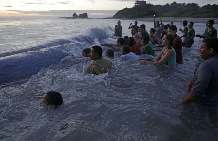 Жители и туристы Никарагуа попытались спасти кита (12 фото)