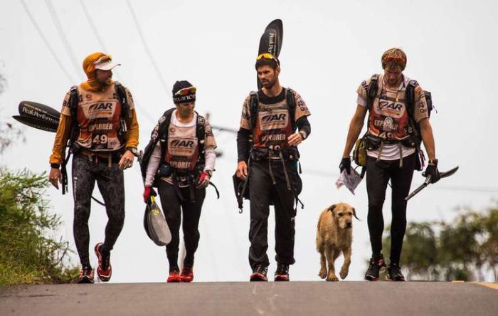 Бездомная собака присоединилась к спортсменам (20 фото)