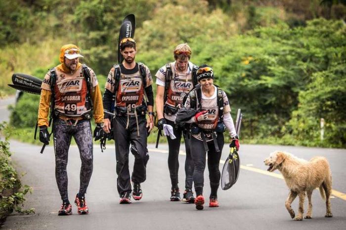 Бездомная собака присоединилась к спортсменам (20 фото)