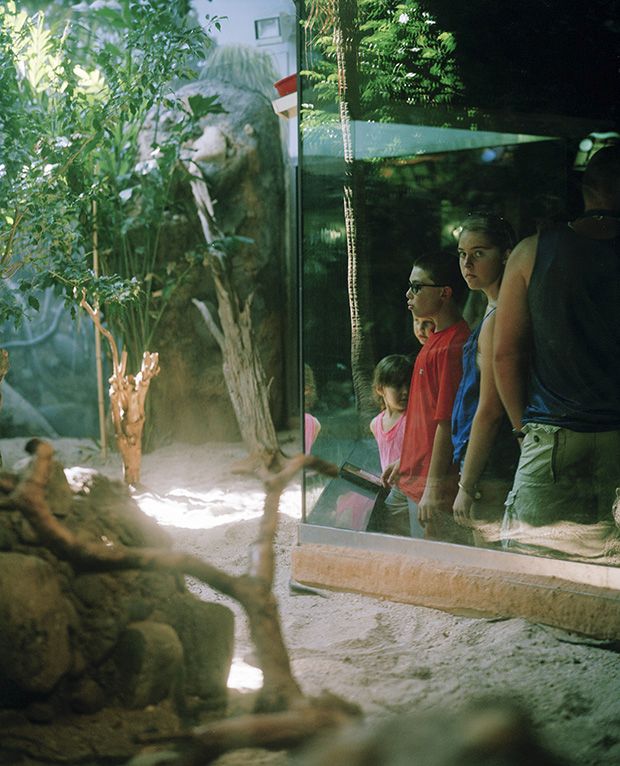 Фото из зоопарков всего мира (36 фото)