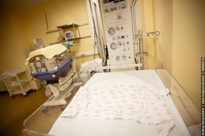 Репортаж из отделения реанимации новорожденных (20 фото)