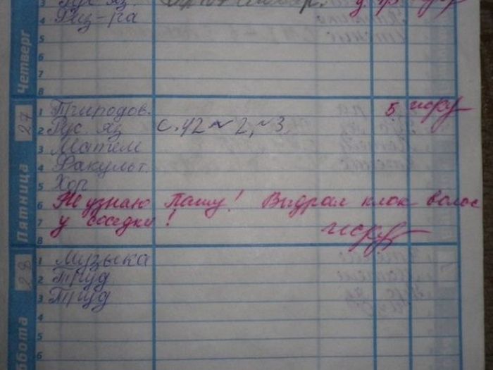 Юмор в дневниках и тетрадях школьников (37 фото)