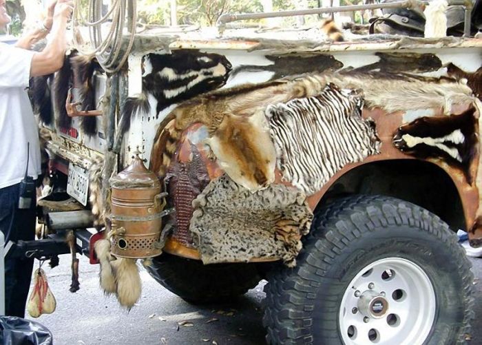 Раритетный пикап Ford обвесили трупами 50-ти животных (10 фото)