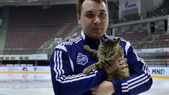 Кошка из аэропорта Владивостока станет талисманом ХК «Адмирал» (7 фото)