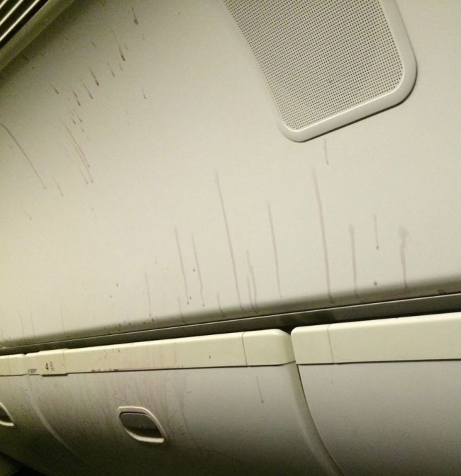 Пассажиры самолета компании American Airlines стали жертвами турбулентности (8 фото + видео)