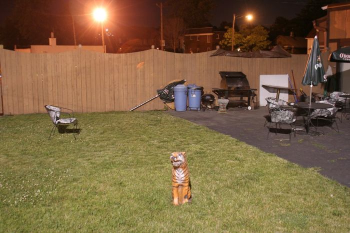 Жизнь людей с окраин Детройта (33 фото)