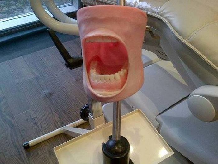 На чем тренируются студенты-стоматологи (14 фото)