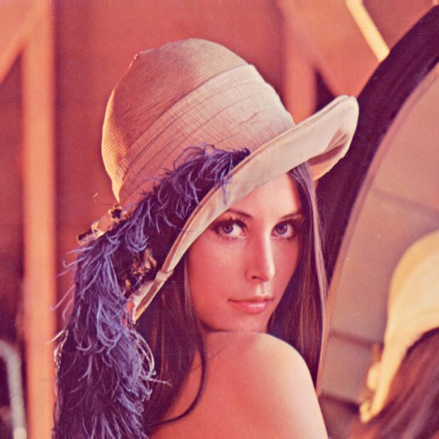 Как модель Playboy стала первой леди интернета. НЮ (2 фото)