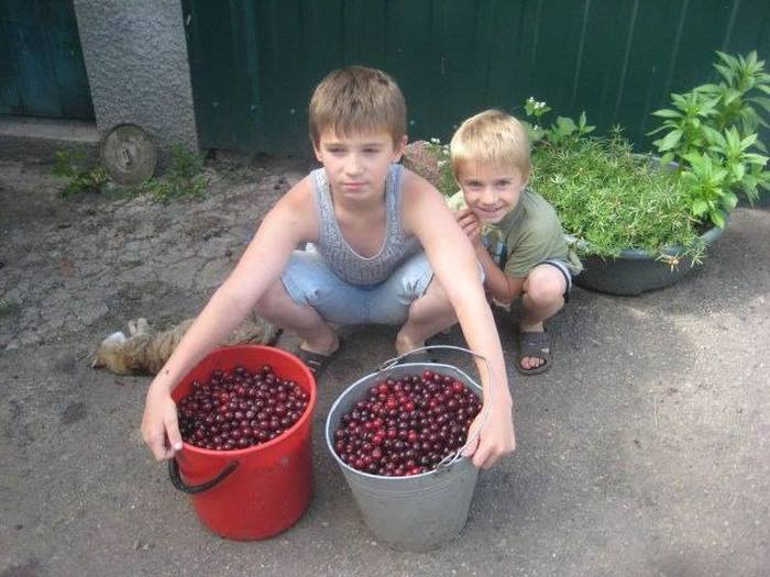 Как пользователи Рунета поддерживают детей Донбасса (5 фото)