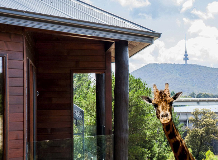 Необычный отель в австралийском зоопарке (8 фото)