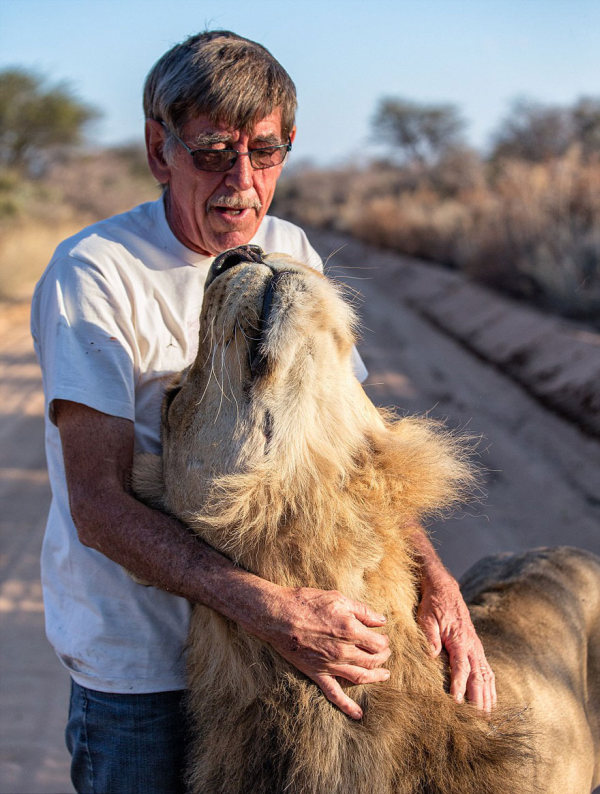 В Южной Африке мужчина заменил льву мать (11 фото)