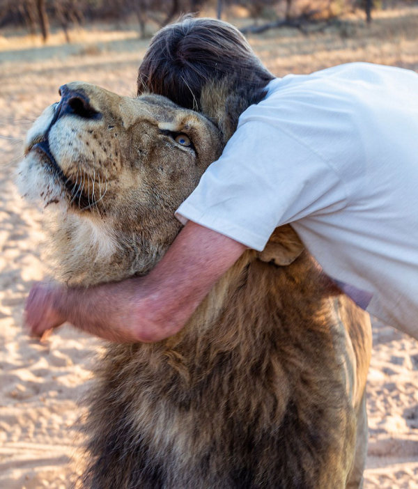 В Южной Африке мужчина заменил льву мать (11 фото)