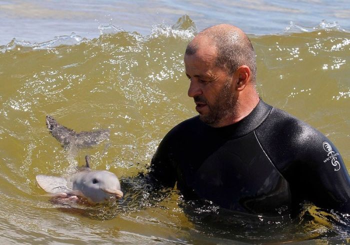 Интересные факты о дельфинах (16 фото)