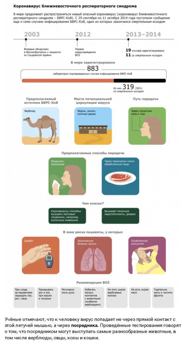 Смертельные заболевания, которые достались нам от животных (27 фото)