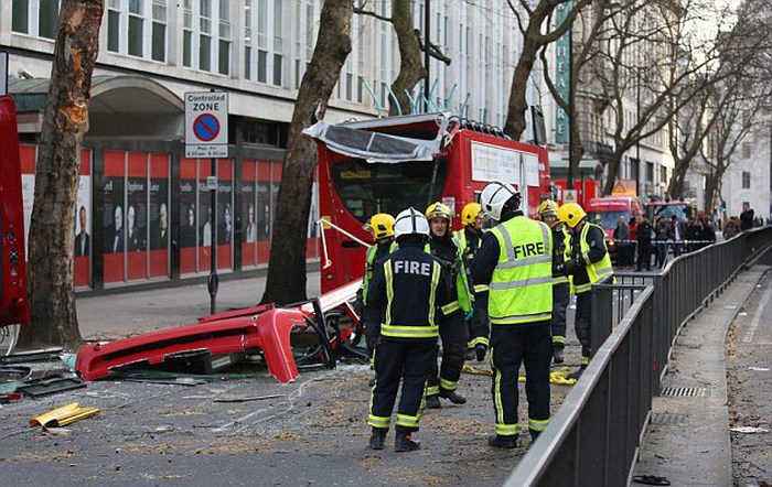 По вине водителя дерево снесло крышу автобусу (14 фото)