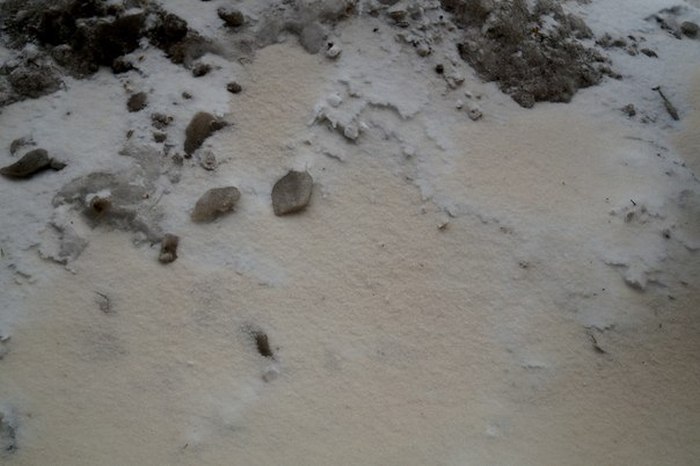Саратов покрыт оранжевым снегом (15 фото + видео)
