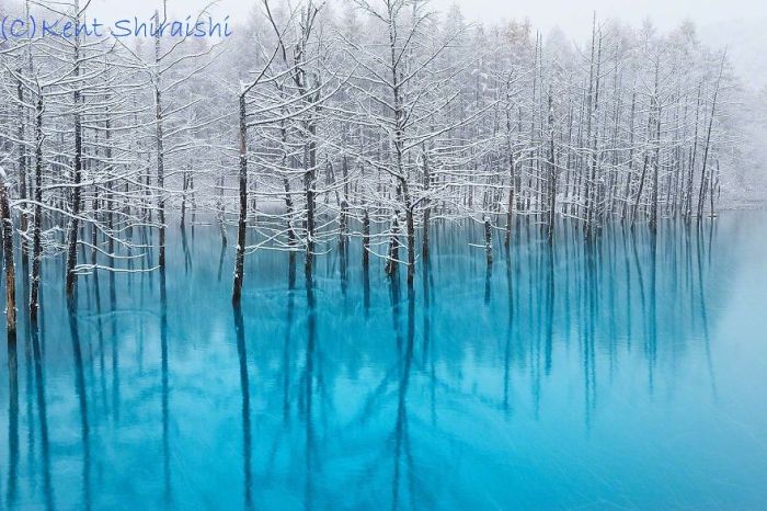 Голубой пруд города Бией на фотографиях Кента Шираиши (14 фото)