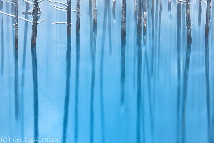 Голубой пруд города Бией на фотографиях Кента Шираиши (14 фото)